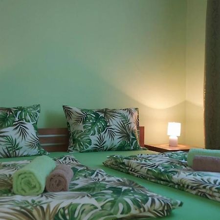 Apartman ,,Milica" Donji Milanovac Exterior foto